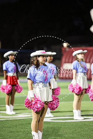 CPP_HHSFB1007-4082