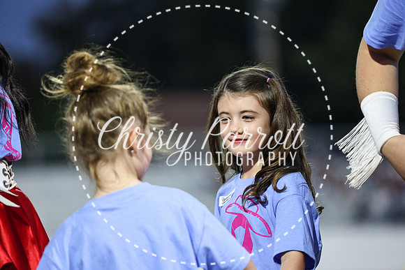 CPP_HHSFB1007-4017
