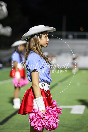 CPP_HHSFB1007-4093