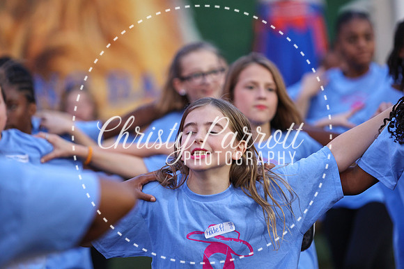 CPP_HHSFB1007-3994