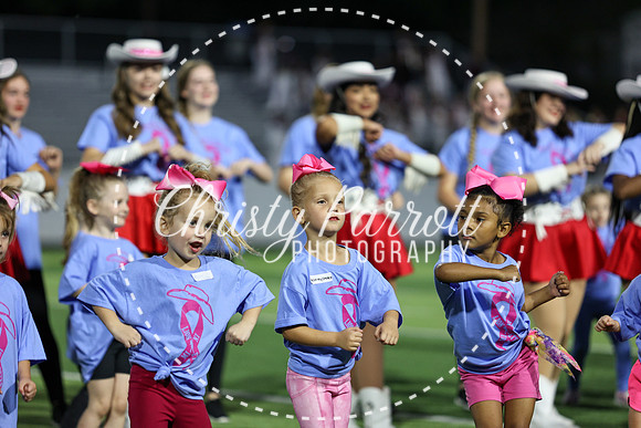 CPP_HHSFB1007-4045