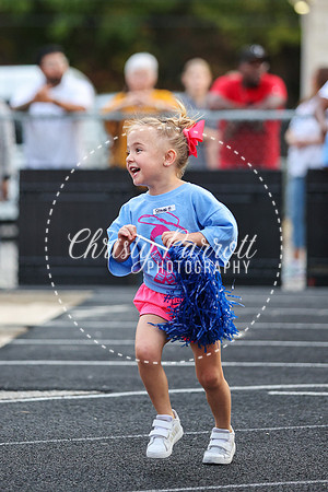 CPP_HHSFB1007-3958