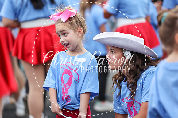 CPP_HHSFB1007-3916
