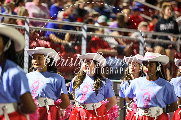 CPP_HHSFB1007-4148