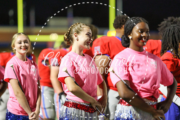 CPP_HHSFB1007-4131