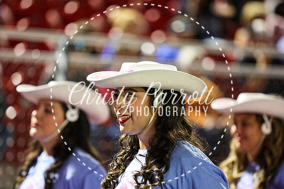 CPP_HHSFB1007-4154
