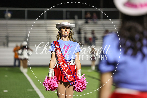 CPP_HHSFB1007-4102