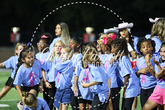 CPP_HHSFB1007-4054
