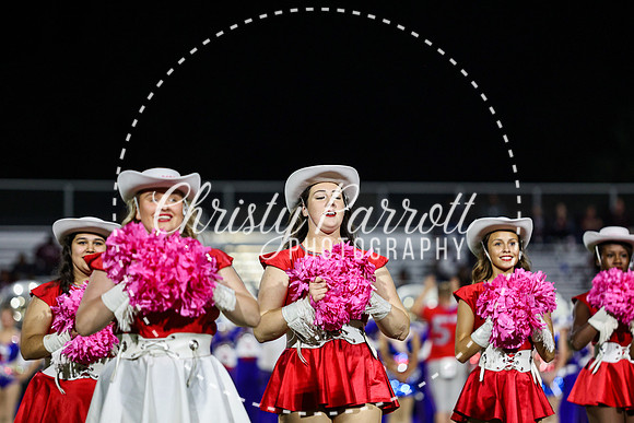 CPP_HHSFB1007-4676