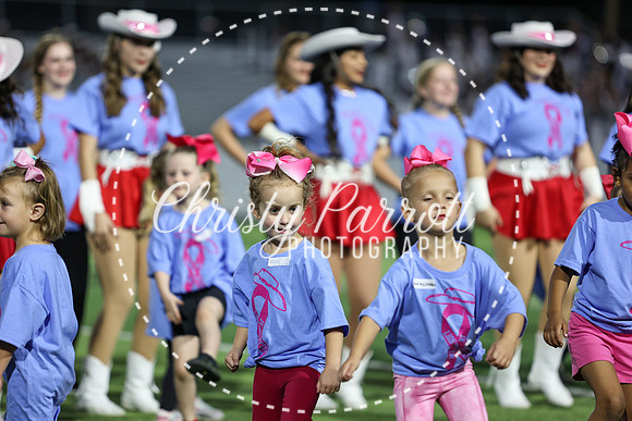CPP_HHSFB1007-4046
