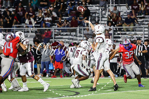CPP_HHSFB1007-4463