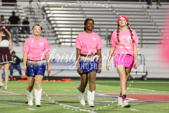 CPP_HHSFB1007-4078