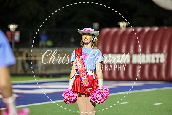 CPP_HHSFB1007-4097