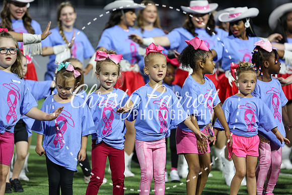 CPP_HHSFB1007-4032