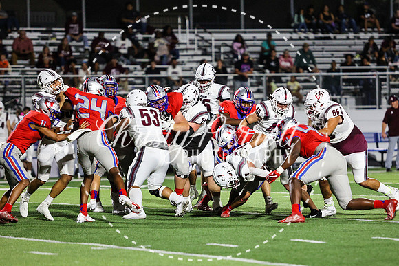 CPP_HHSFB1007-4308