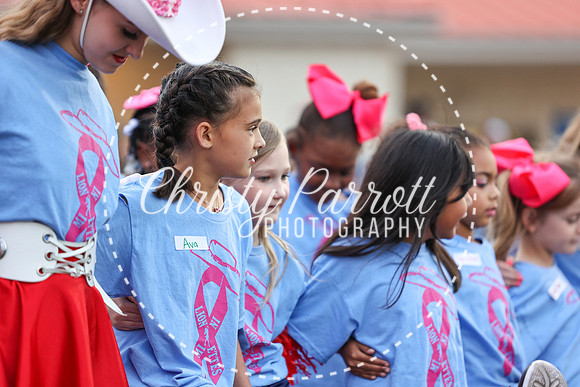 CPP_HHSFB1007-3931