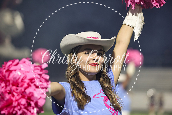 CPP_HHSFB1007-4107