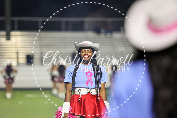 CPP_HHSFB1007-4108
