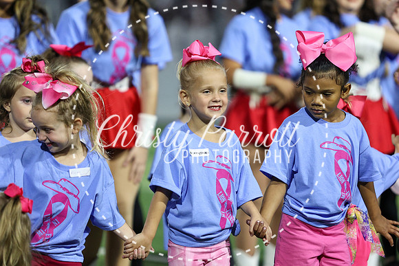 CPP_HHSFB1007-4047