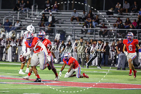 CPP_HHSFB1007-4418