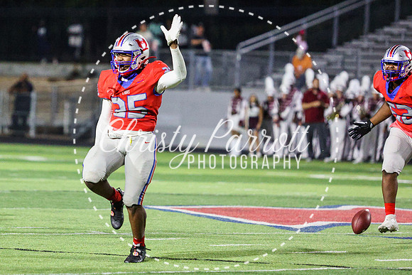 CPP_HHSFB1007-4419