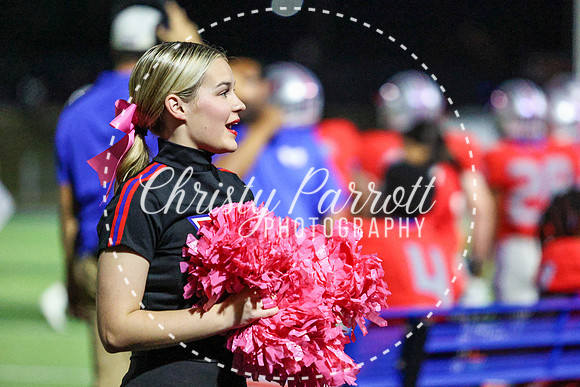CPP_HHSFB1007-4233