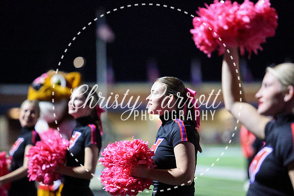 CPP_HHSFB1007-4198