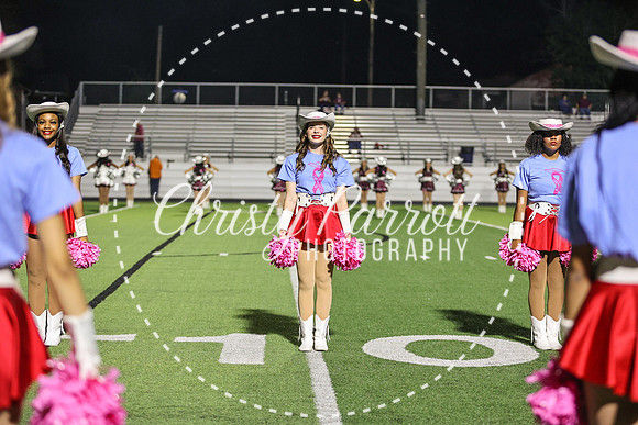 CPP_HHSFB1007-4106