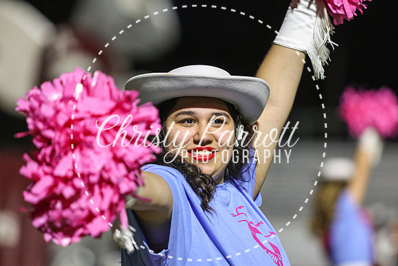 CPP_HHSFB1007-4104