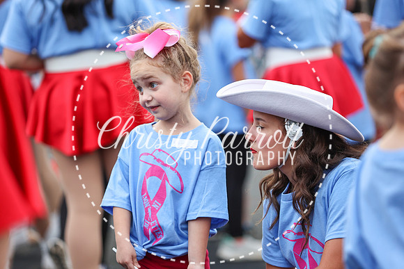 CPP_HHSFB1007-3917