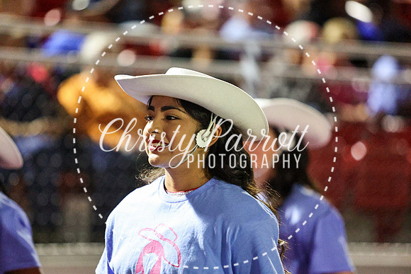 CPP_HHSFB1007-4153