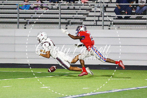 CPP_HHSFB1007-4293