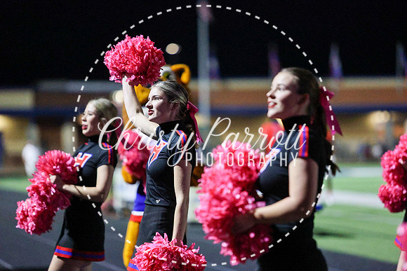 CPP_HHSFB1007-4197