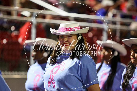 CPP_HHSFB1007-4151