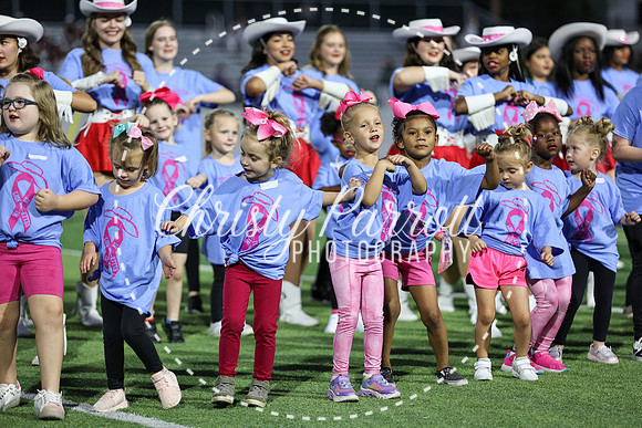 CPP_HHSFB1007-4033