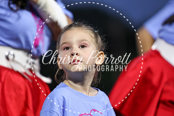 CPP_HHSFB1007-4015