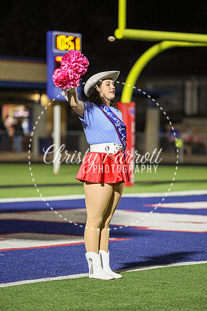 CPP_HHSFB1007-4088