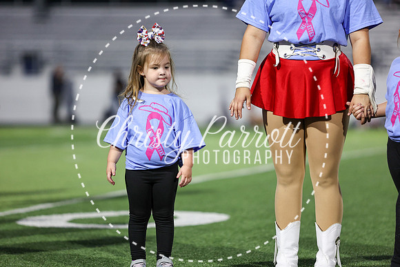 CPP_HHSFB1007-4020