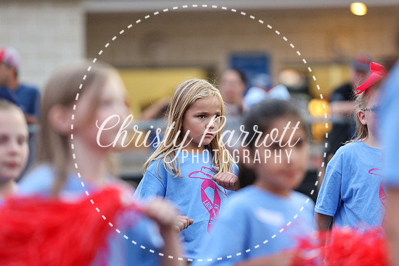 CPP_HHSFB1007-3946