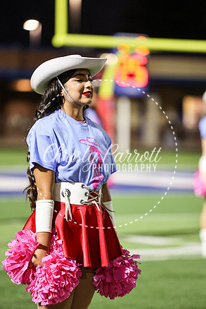 CPP_HHSFB1007-4087