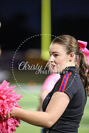 CPP_HHSFB1007-4079
