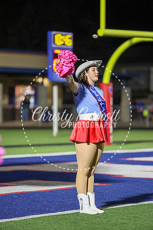 CPP_HHSFB1007-4089