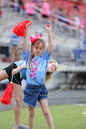 CPP_HHSFB1007-3959