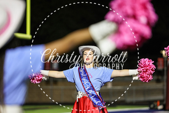 CPP_HHSFB1007-4098