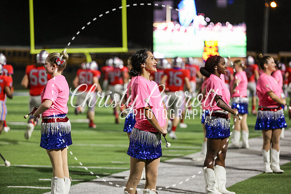 CPP_HHSFB1007-4119
