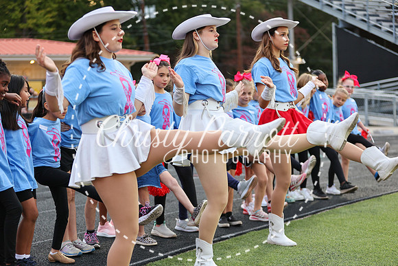 CPP_HHSFB1007-3951