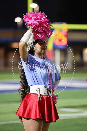 CPP_HHSFB1007-4086