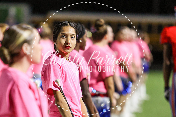 CPP_HHSFB1007-4113