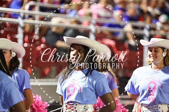 CPP_HHSFB1007-4149
