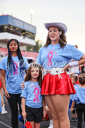 CPP_HHSFB1007-3919